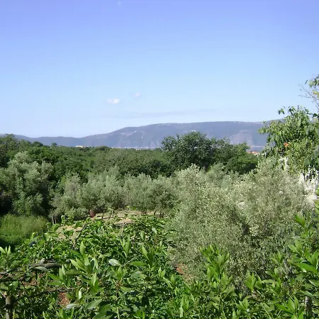 Zofica *
